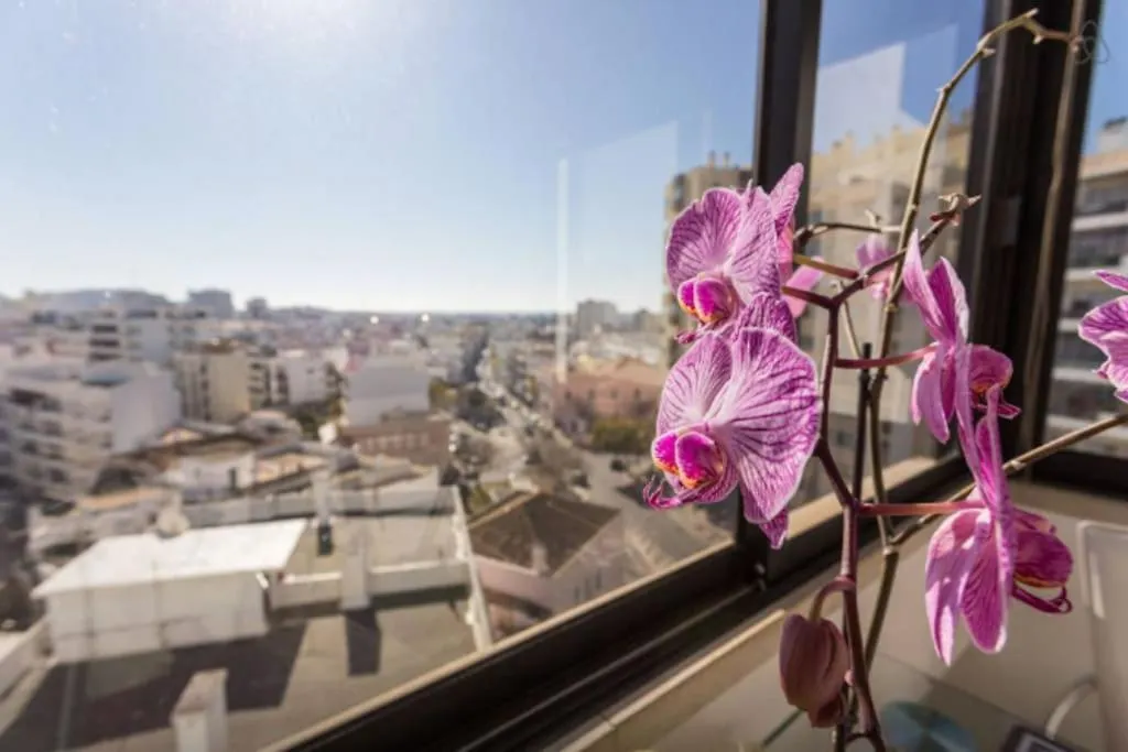 Brigida'S Flat Apartment Faro 0*,